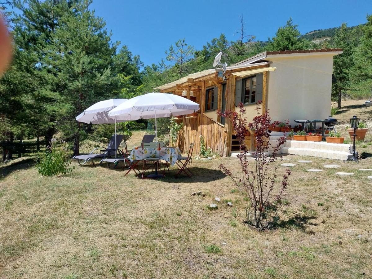 Petit Dans La Prairie Saint-Auban (Alpes-Maritimes)
