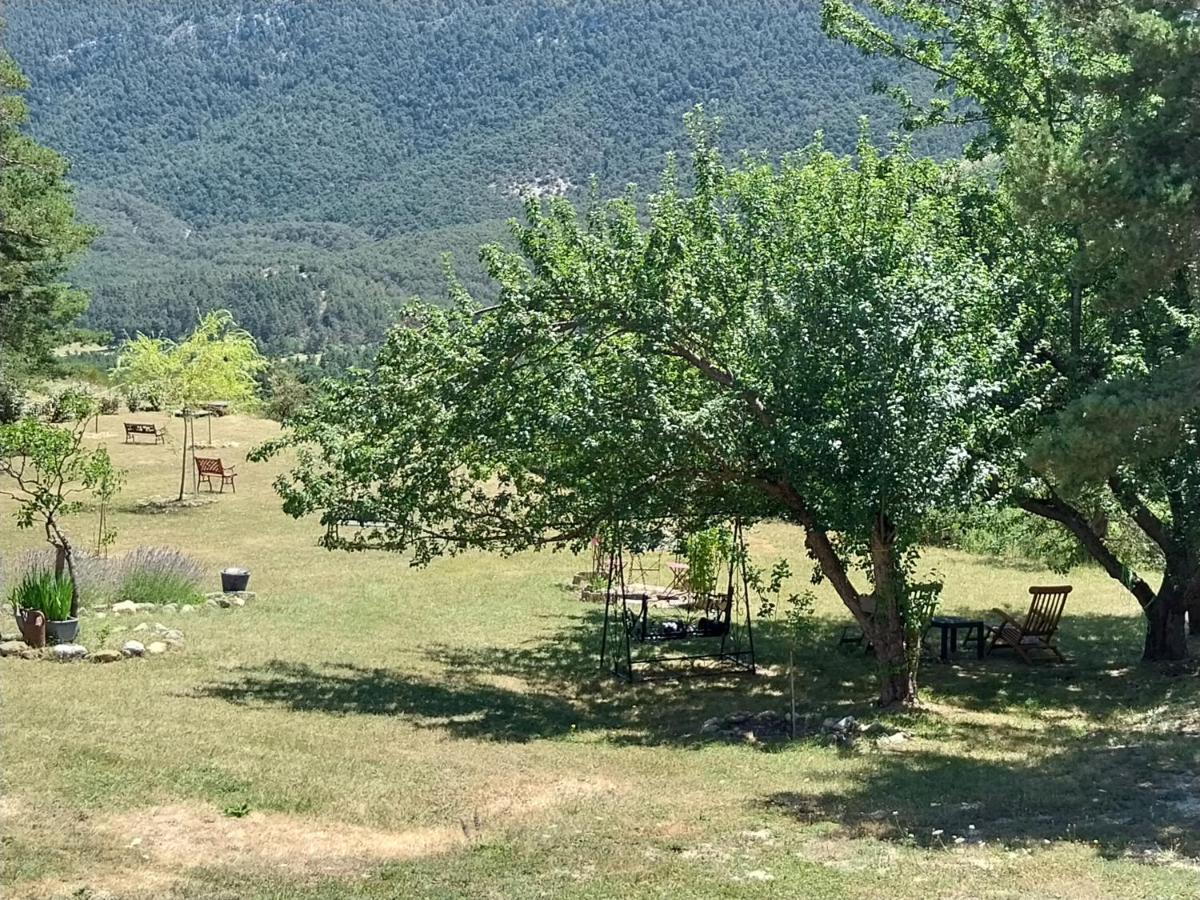 Petit Dans La Prairie