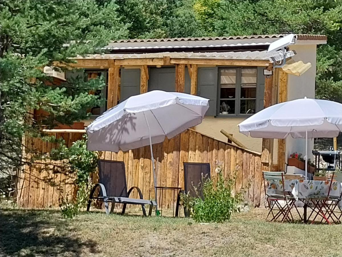 Petit Dans La Prairie *