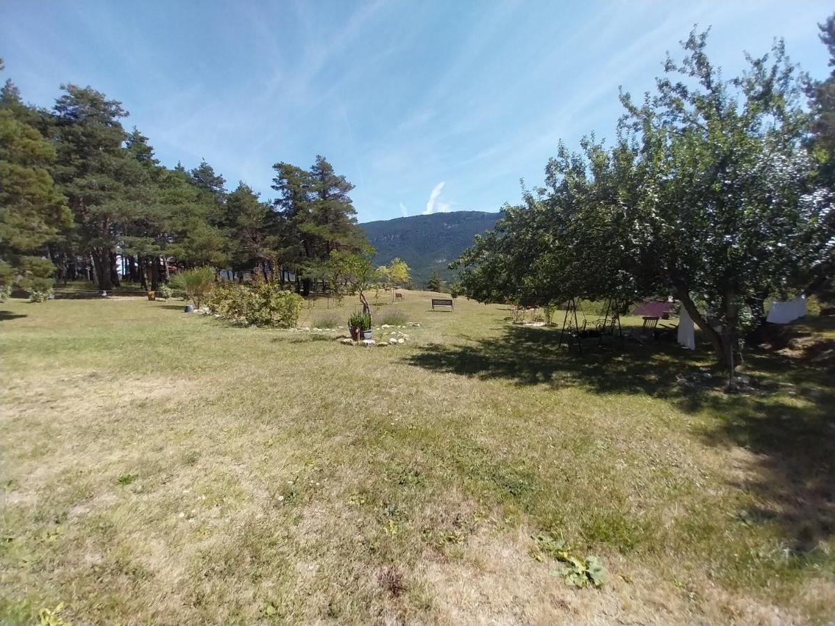 Petit Dans La Prairie Saint-Auban (Alpes-Maritimes)